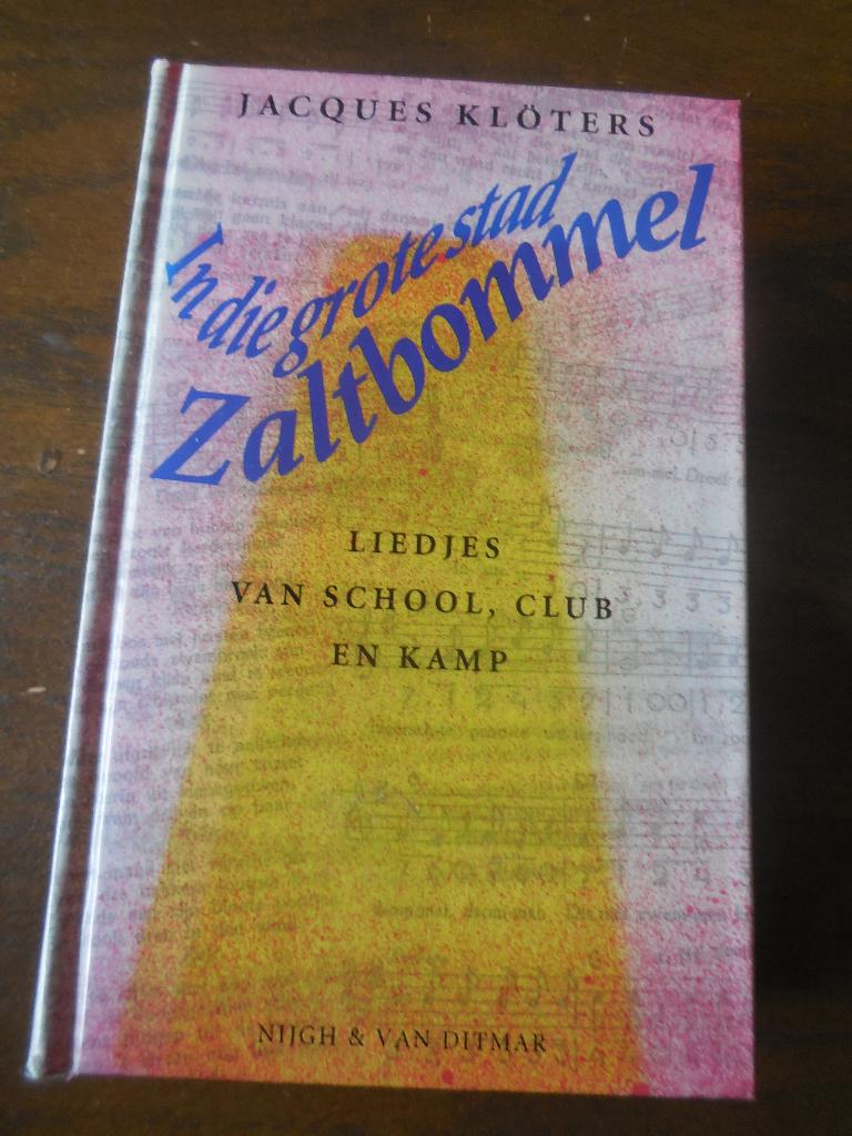 Jacques Klöters - In die grote stad Zaltbommel, Boeken, Ophalen of Verzenden, Gelezen, Jacques Klöters