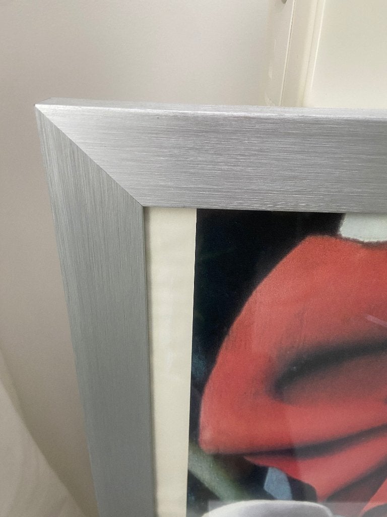 Gezocht: 2 stuks geborsteld aluminium wissellijsten 70-100, Overige materialen, Met ophangsysteem, Ophalen of Verzenden, Zilver