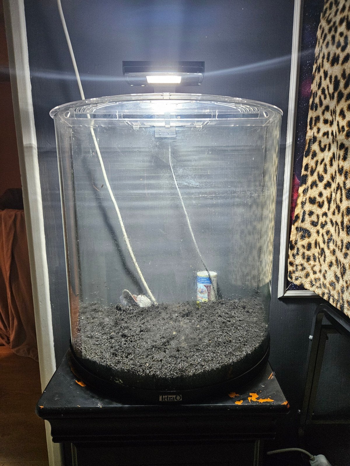 Tetra half rond aquarium, Ophalen, Leeg aquarium