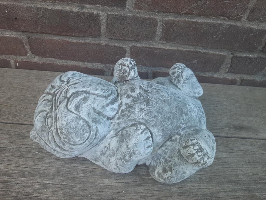 Hond bulldog betonnen beeld tuinbeeld beton, Ophalen of Verzenden
