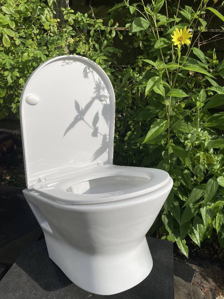 Wit randloos wandtoilet, Ophalen, Gebruikt, Steen, Toilet