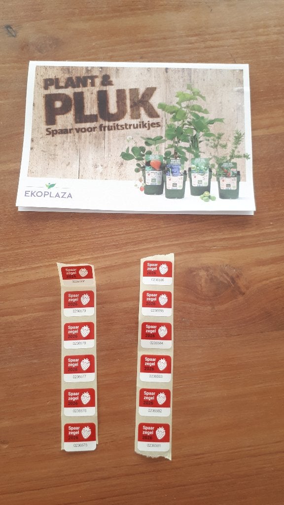 Losse spaarzegels - spaaractie Ekoplaza fruitstruikjes, Hobby en Vrije tijd, Spaarzegeltjes, Ophalen of Verzenden, Winkel, Super of Benzinepomp