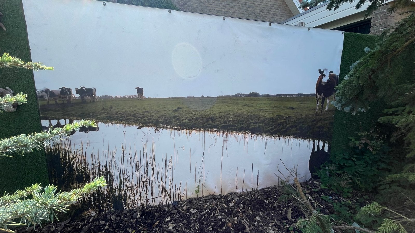 Tuinposter met fries landschap en koeien groot model, Tuin en Terras, Tuinwanddecoratie, Ophalen, Gebruikt
