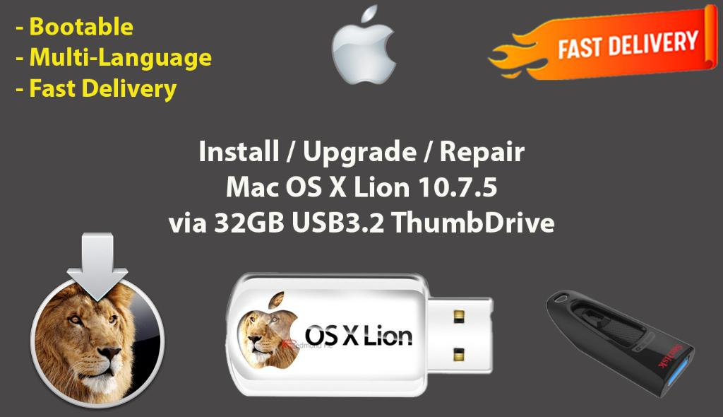 Installeer Mac OS X Lion 10.7.5, OSX via USB 32GB zonder DVD, Ophalen of Verzenden, Nieuw, MacOS