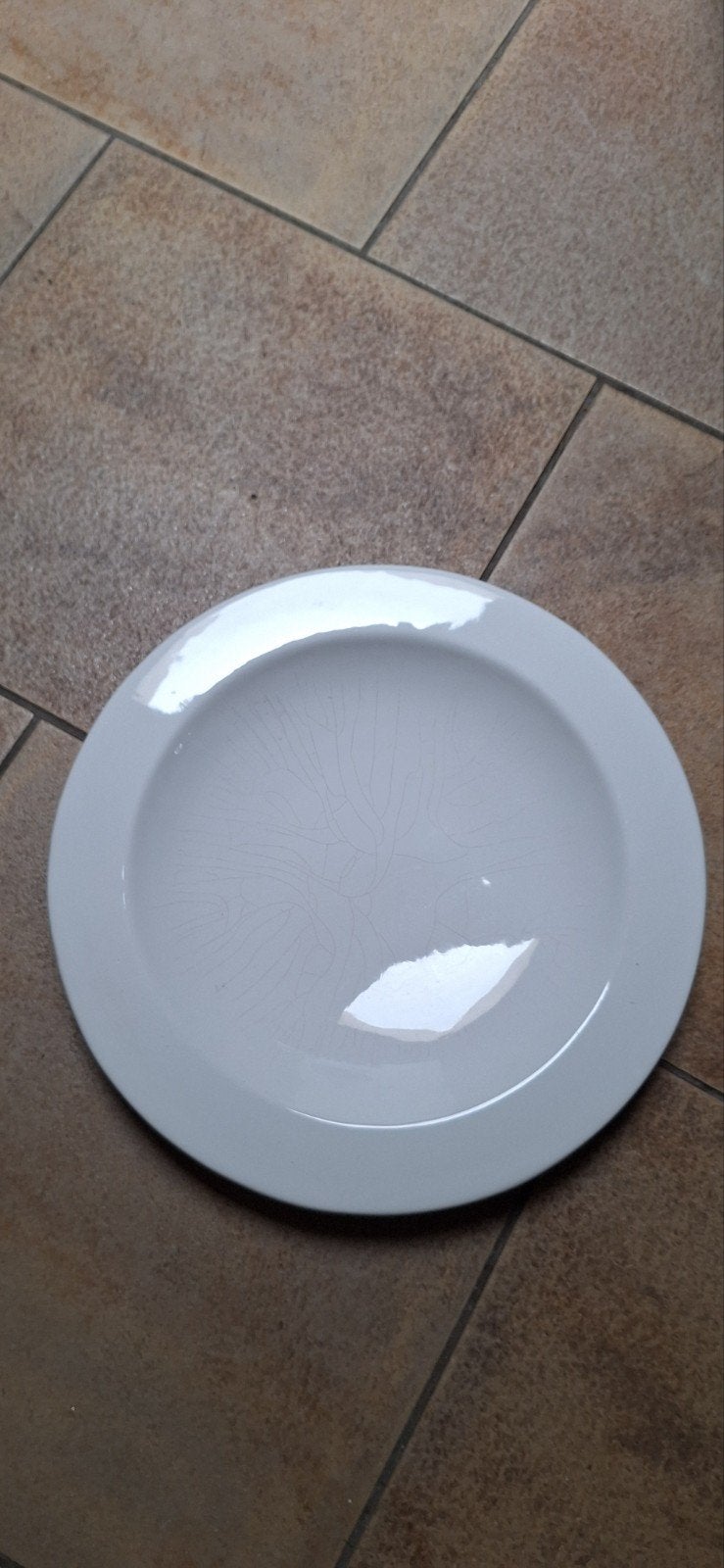 Mooie witte schaal, Ophalen, Gebruikt, Rond