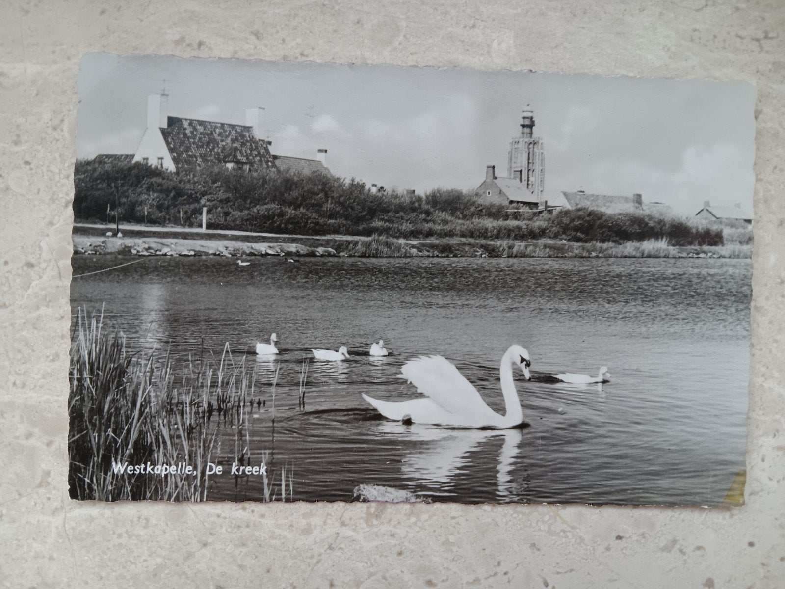 Westkapelle De Kreek - Zwanen, Verzenden, 1960 tot 1980, Ongelopen, Zeeland