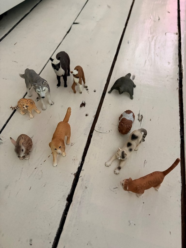 Schleich dieren: divers gezelschap, Verzamelen, Ophalen of Verzenden, Zo goed als nieuw
