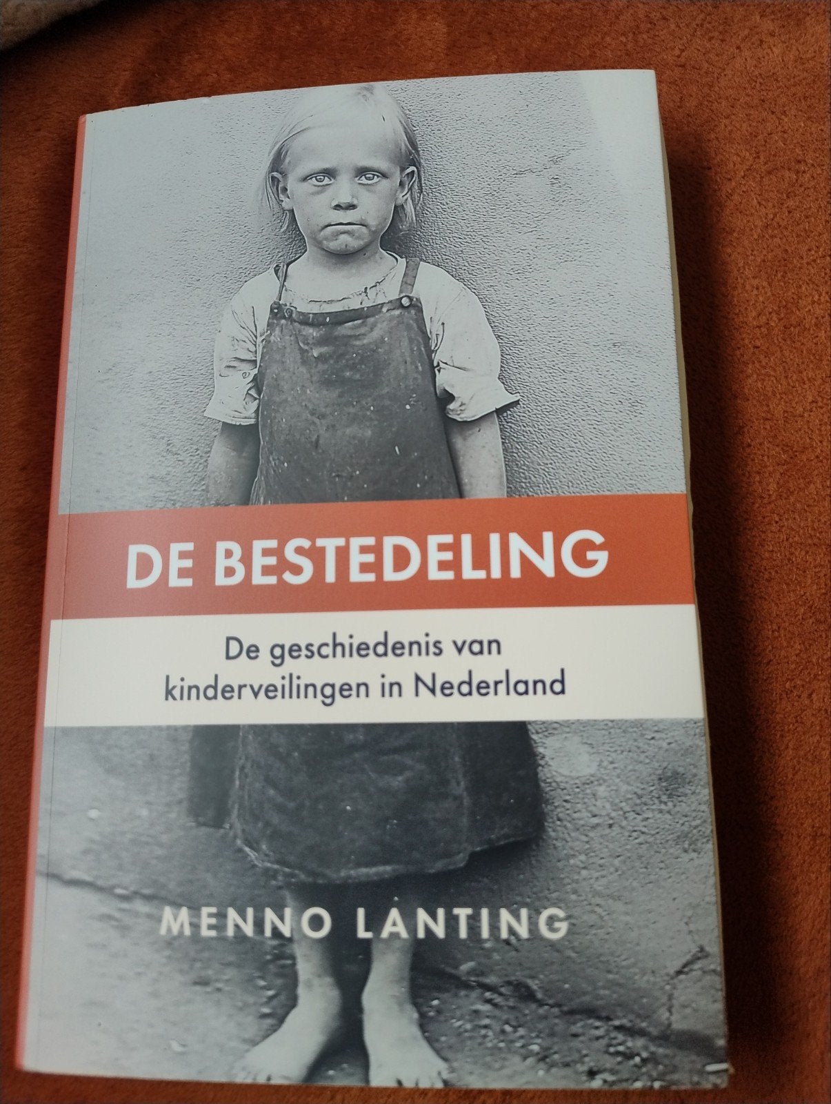 De Bestedeling - Menno Lanting (Zo goed als nieuw), Ophalen of Verzenden, 20e eeuw of later, Zo goed als nieuw, Menno Lanting