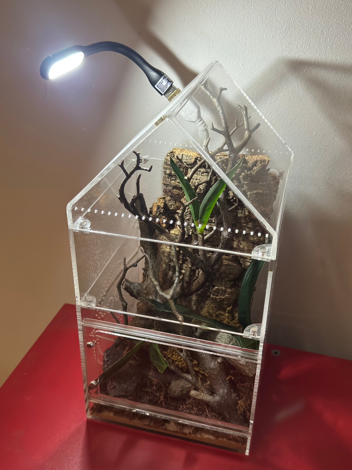 Springspin/insecten verblijf, Spin of Schorpioen