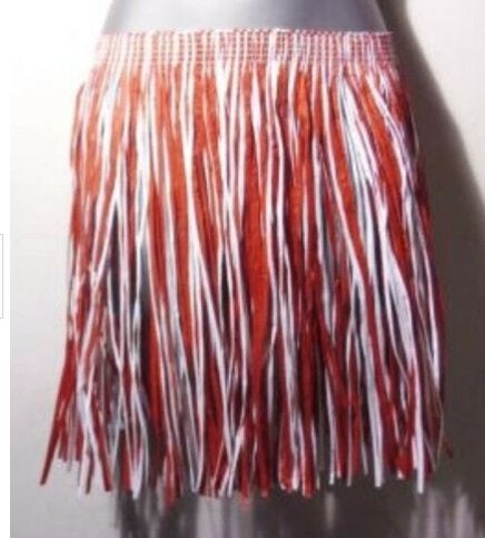 Hawaii rokje mt M / L, Kleding | Dames, Carnavalskleding en Feestkleding, Nieuw, Carnaval, Maat 38/40 (M), Ophalen of Verzenden