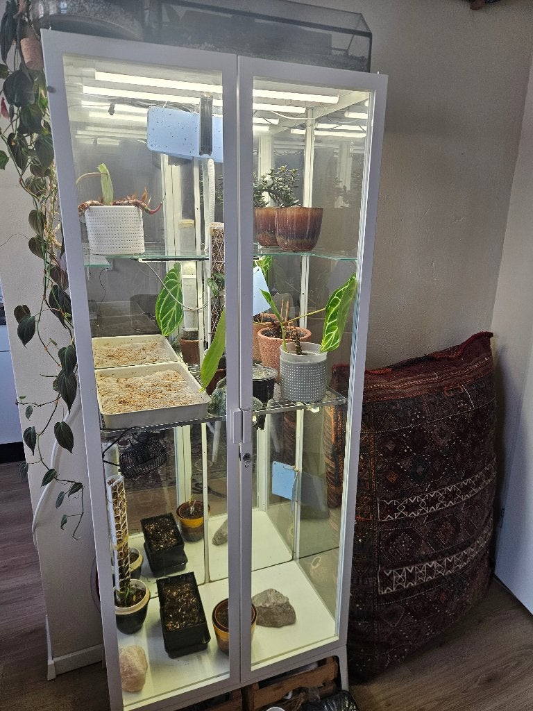 Ikea Milsbo Plantenkast/Greenhouse, Huis en Inrichting, Kasten | Vitrinekasten, Ophalen, Met plank(en), 50 tot 100 cm, Zo goed als nieuw