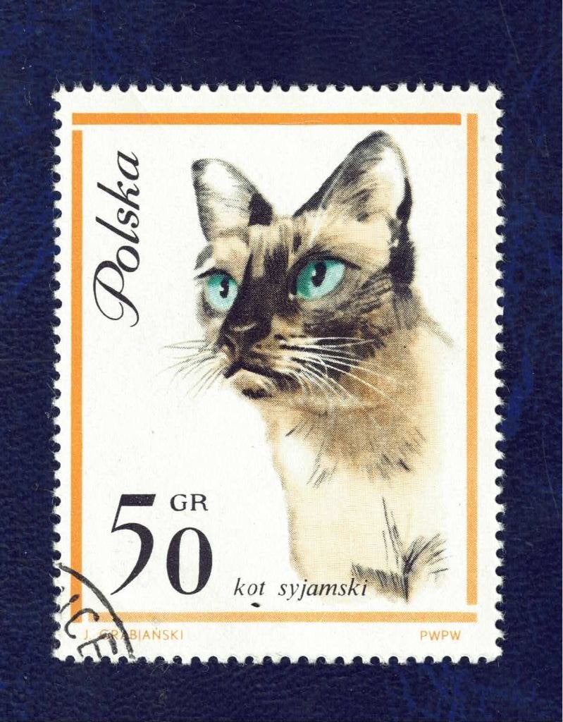 Fauna - Katten - Polen - 50 gr - Siamees - gebr, Ophalen of Verzenden, Gestempeld, Dier of Natuur