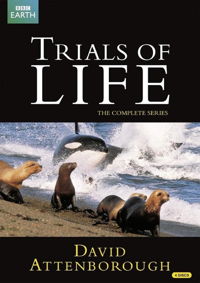 DVD (deel) set) - Trials of Life (BBC 1990), Gebruikt, Alle leeftijden, Boxset, Natuur