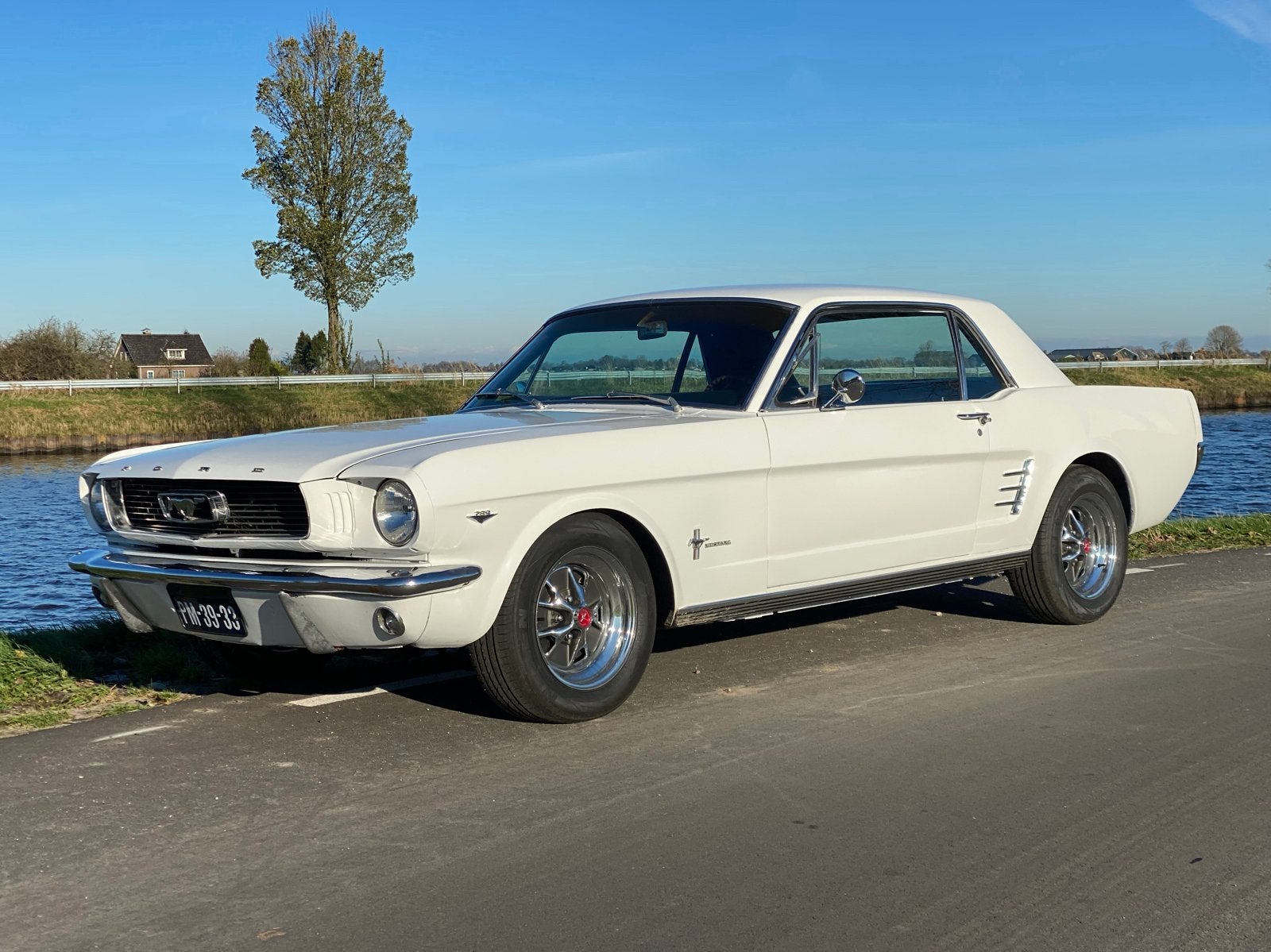 Ford mustang 1966 Wimbledon white., 1352 kg, 4 stoelen, Wit, Particulier
