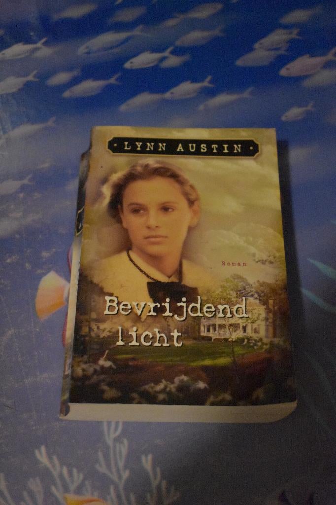 3 boeken van Lynn Austin/eigen wegen+bevrijdend licht+boomga, Ophalen of Verzenden, Zo goed als nieuw, Lynn Austin