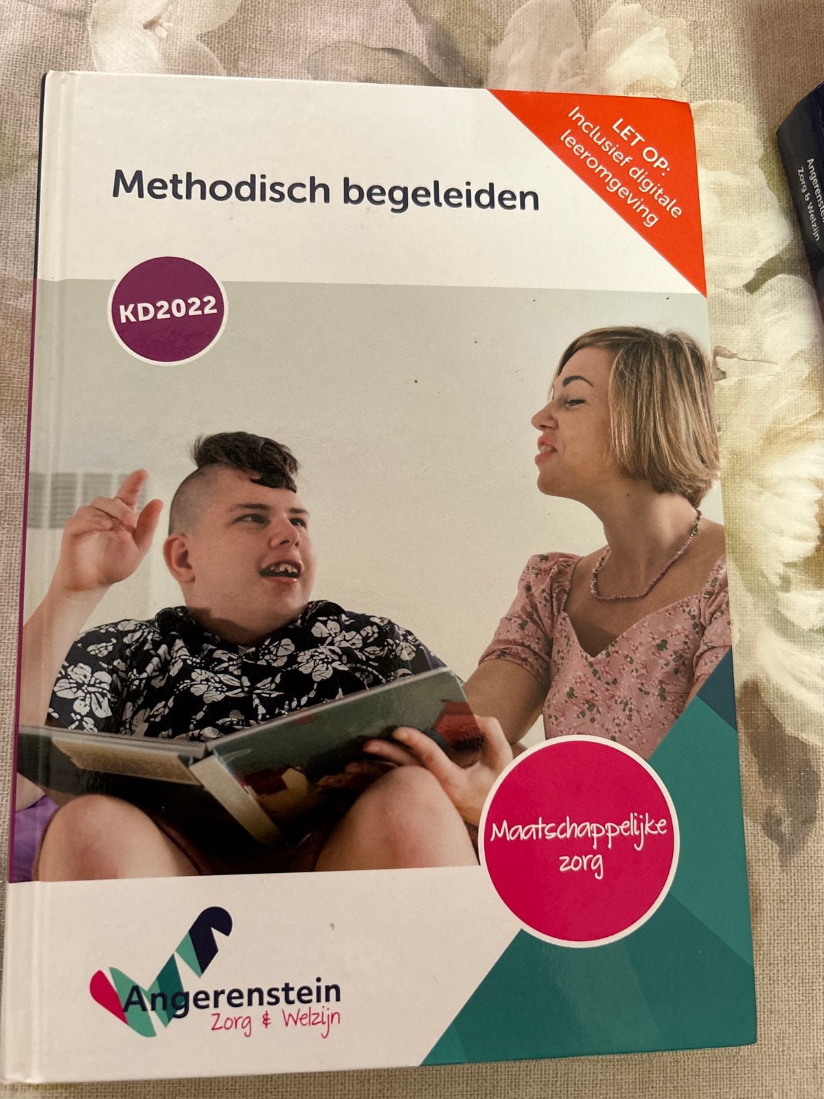 Methodisch begeleiden, Ophalen of Verzenden, Zo goed als nieuw, Overige niveaus, Overige vakken