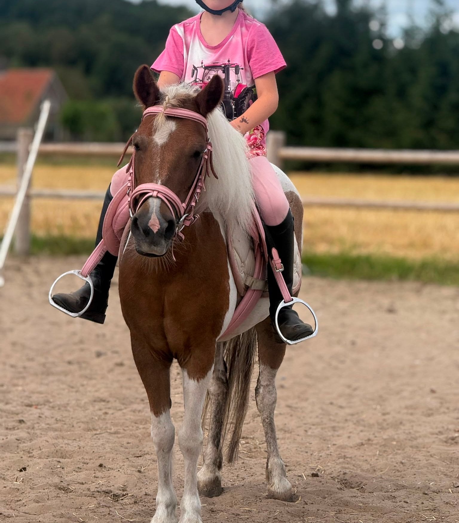 Super fijne kinderpony, Merrie