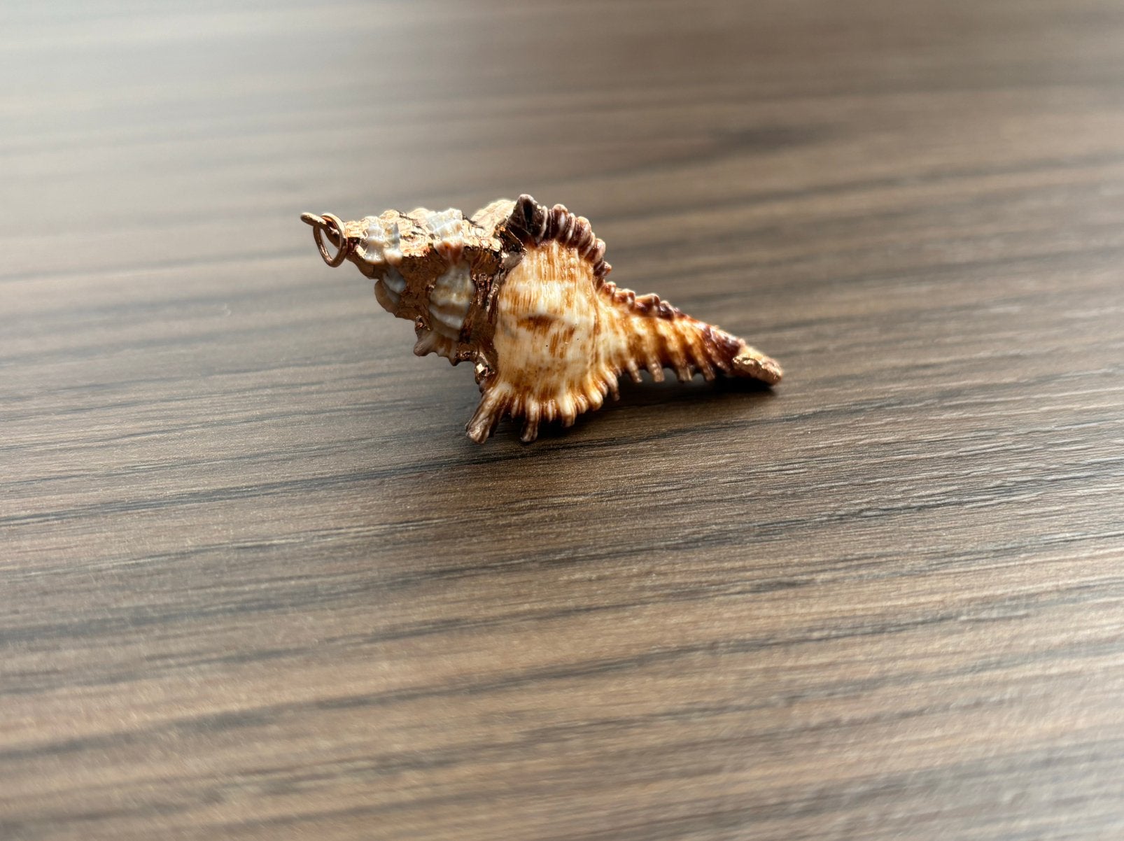 Kettinhanger van een mooi schelpje, Ophalen of Verzenden, Zo goed als nieuw, Overige materialen