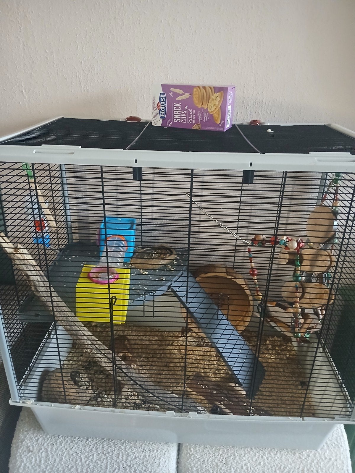 Hamster  groot met  grote kooi, Hamster, Mannelijk, Januari, Tam