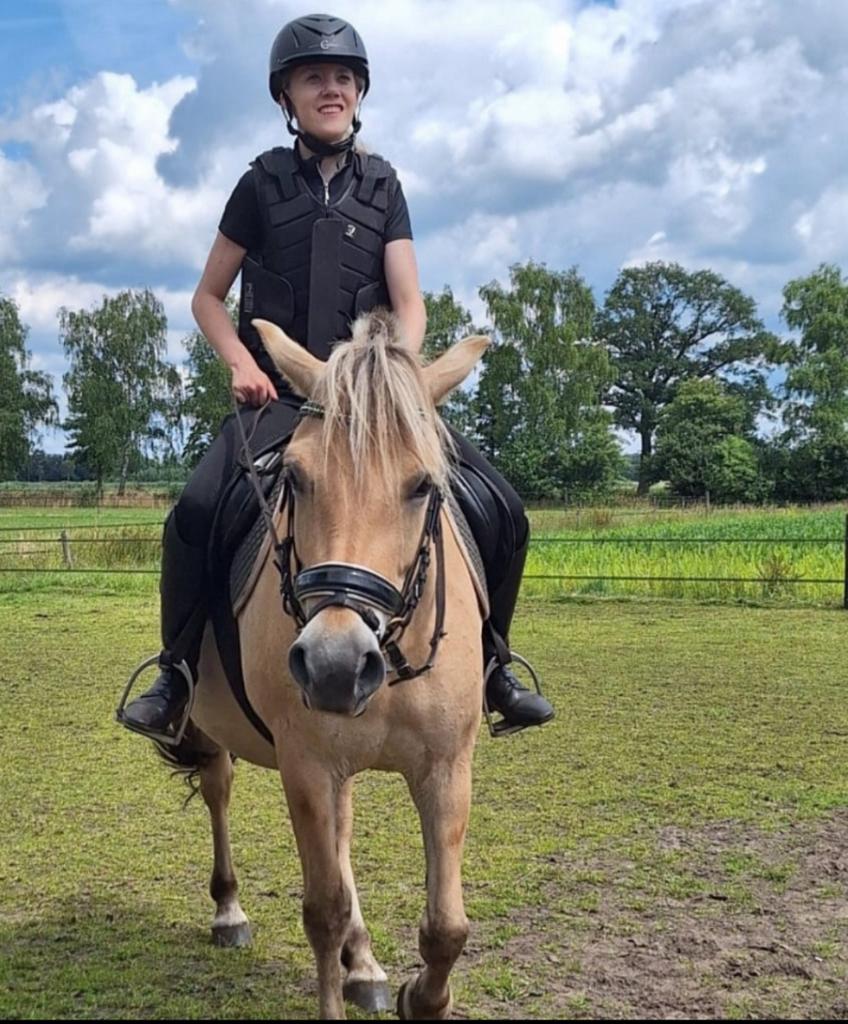 Verzorg/bijrij paard/pony gezocht, Dieren en Toebehoren, Ophalen of Verzenden