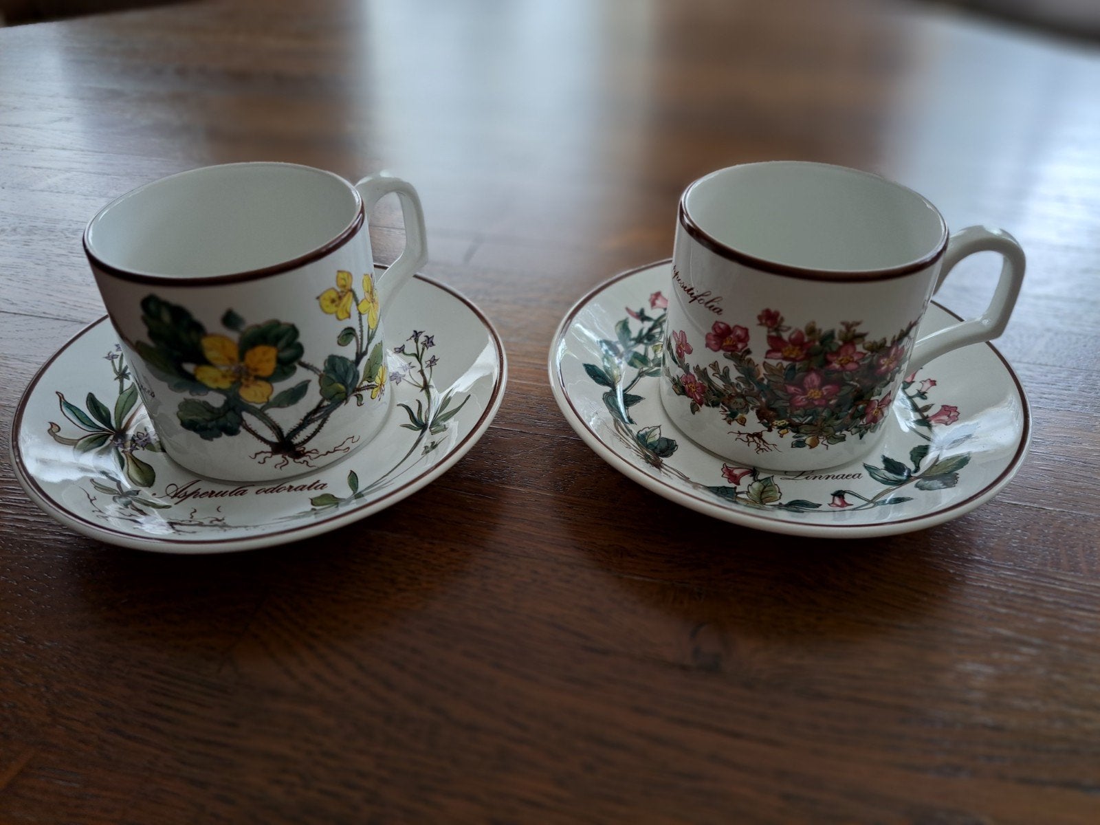 Villeroy & Boch Botanica 2 kop en schotels met leuk motief, Ophalen, Zo goed als nieuw, Kop(pen) en/of Schotel(s), Porselein