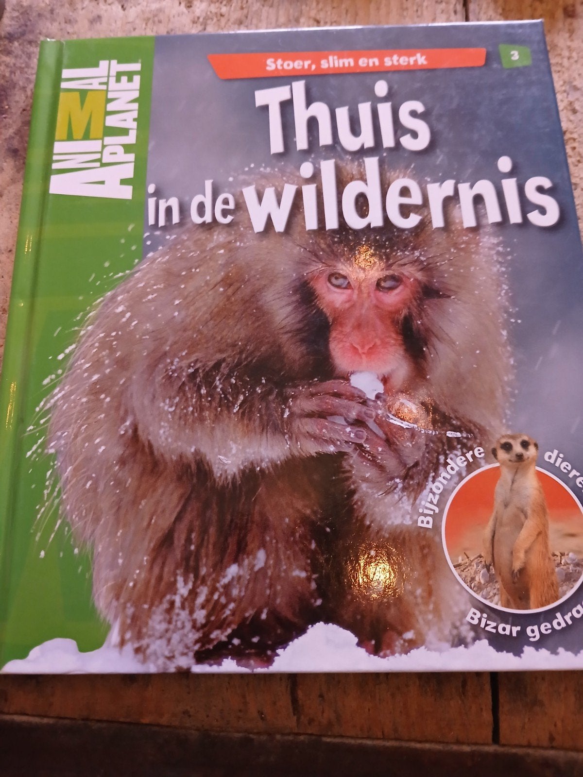 Thuis in de wildernis - Animal Planet, Ophalen of Verzenden, Zo goed als nieuw, Natuur algemeen, Animal Planet