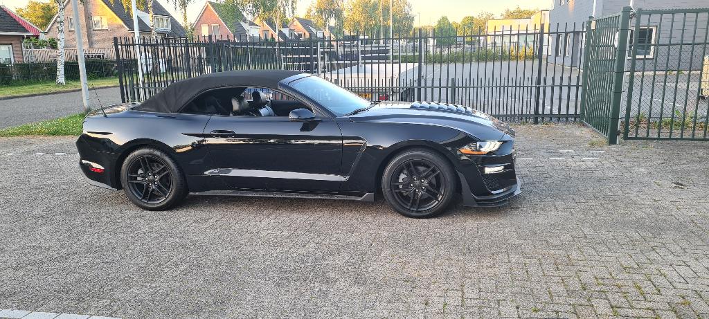 ford mustang convertible 2.3 ecoboost met shelby pakket, Ophalen, Gebruikt, Ford