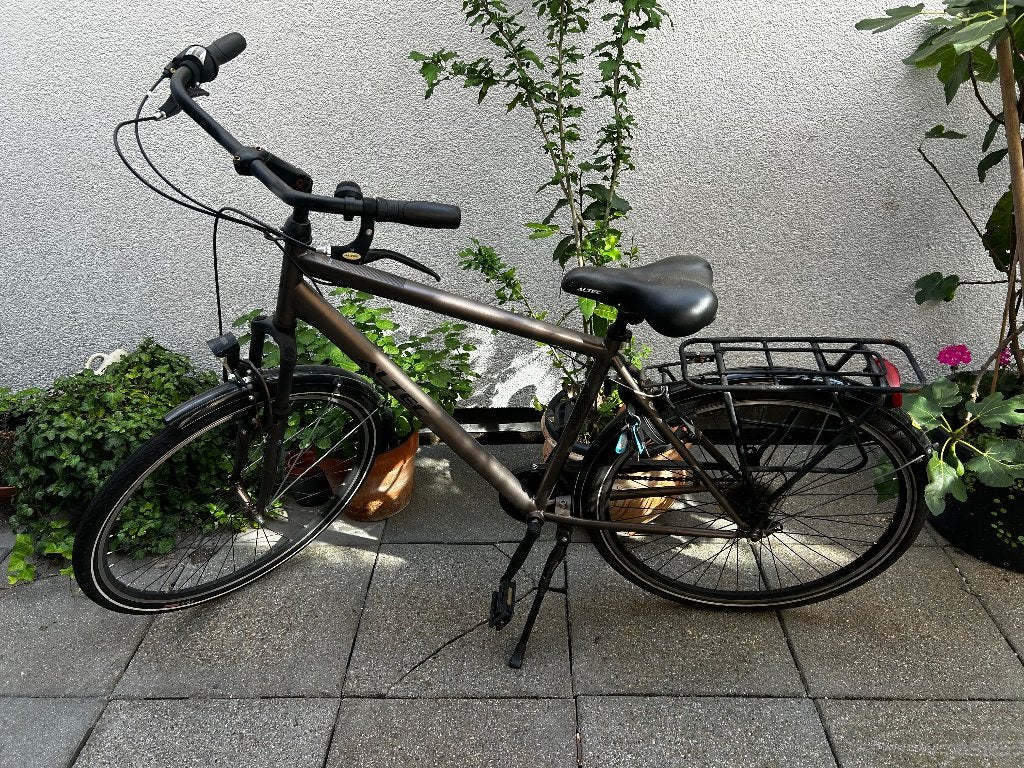 fiets, Gebruikt, 57 cm of meer, Heren, Ophalen