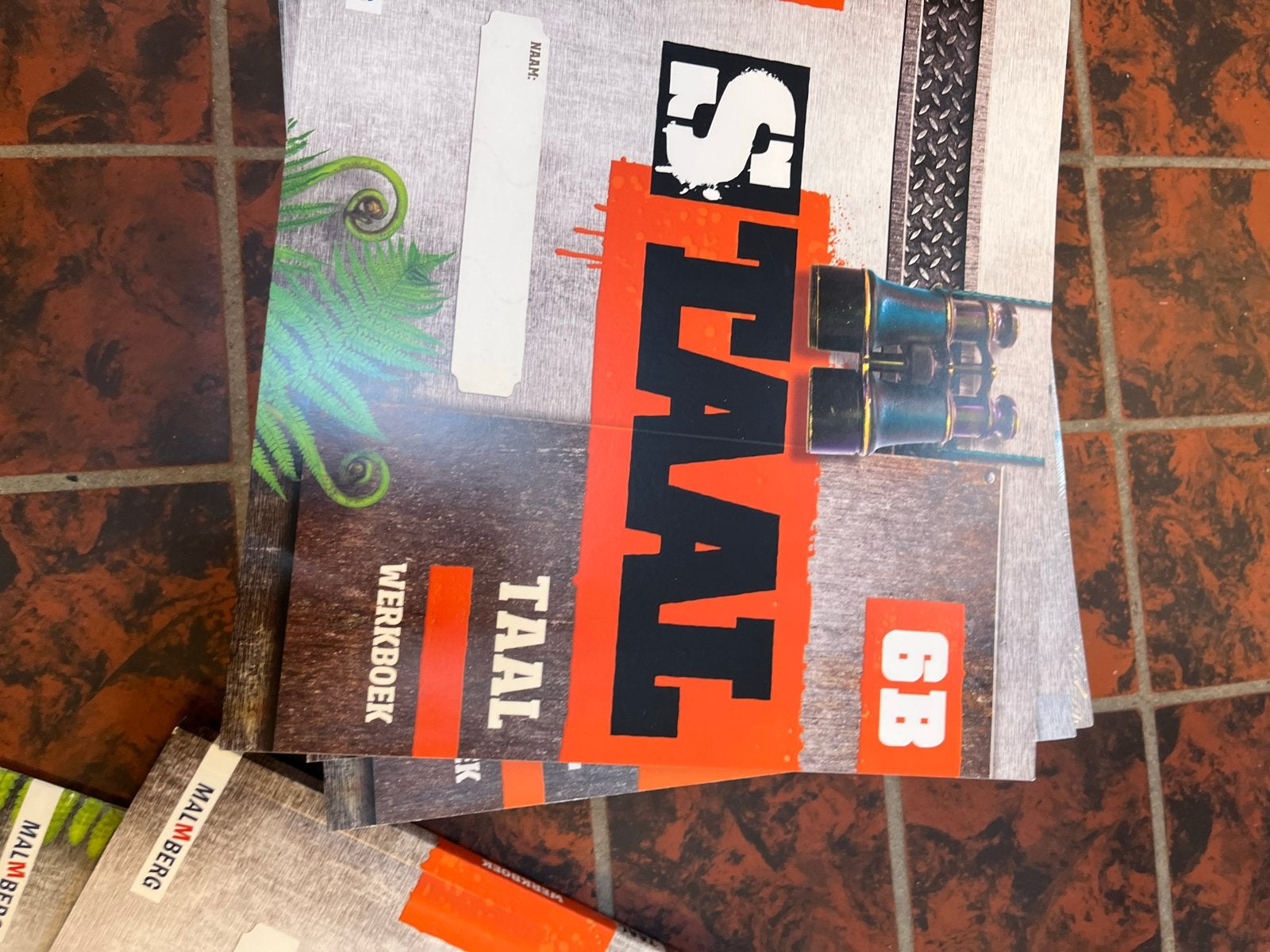 Staal spelling en taal werkboeken + handleiding, Boeken, Ophalen, Nieuw, Nederlands