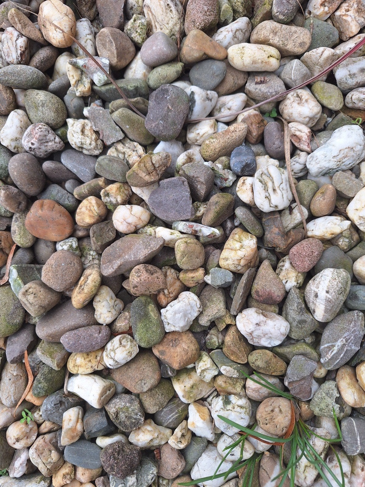 Grind vóór 25 september gratis ophalen, Tuin en Terras, Ophalen, Gebruikt
