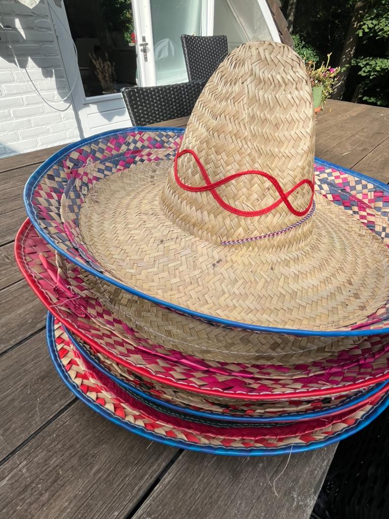 Gezocht: jonge vakantie/ weekendhulp of gepensioneerde, Ophalen, Zo goed als nieuw