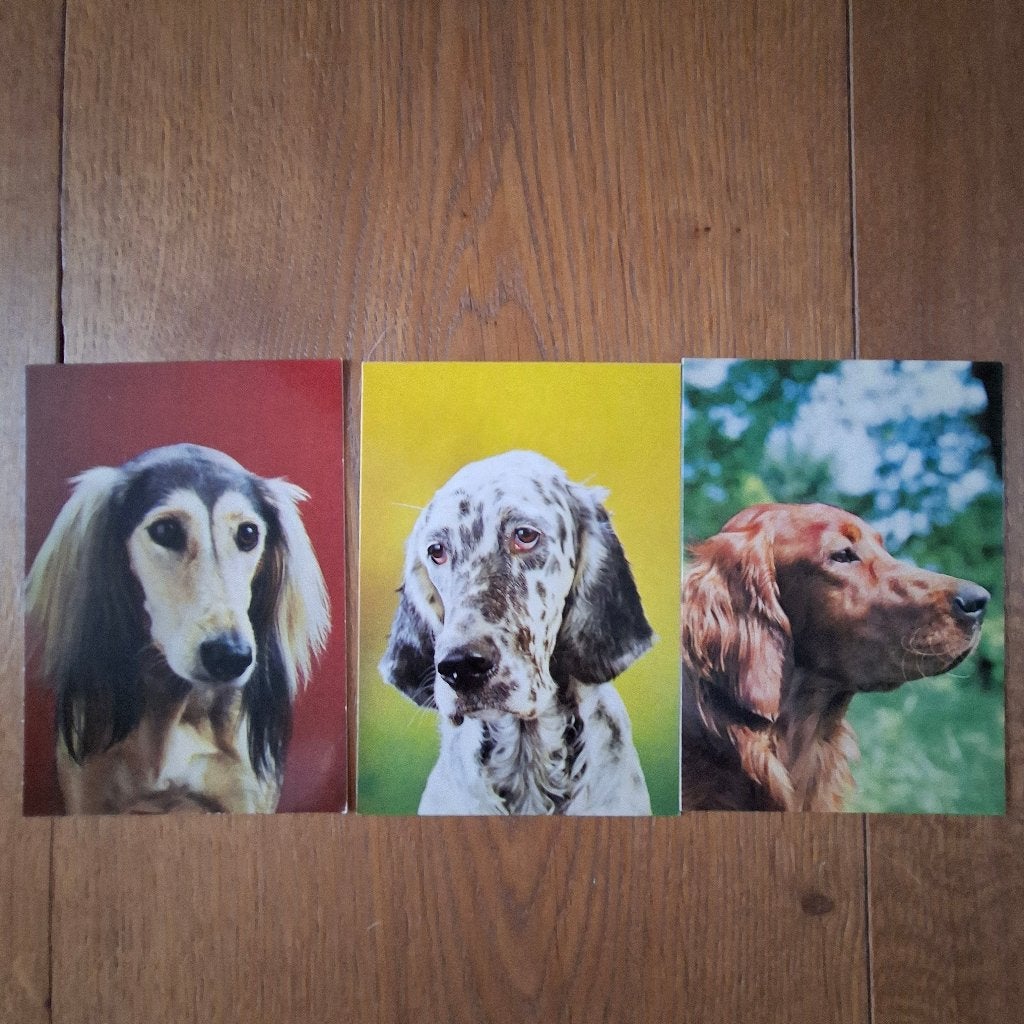3 x honden ansichtkaart nieuw, Verzamelen, Ophalen of Verzenden, 1960 tot 1980, Ongelopen, Hond of Kat