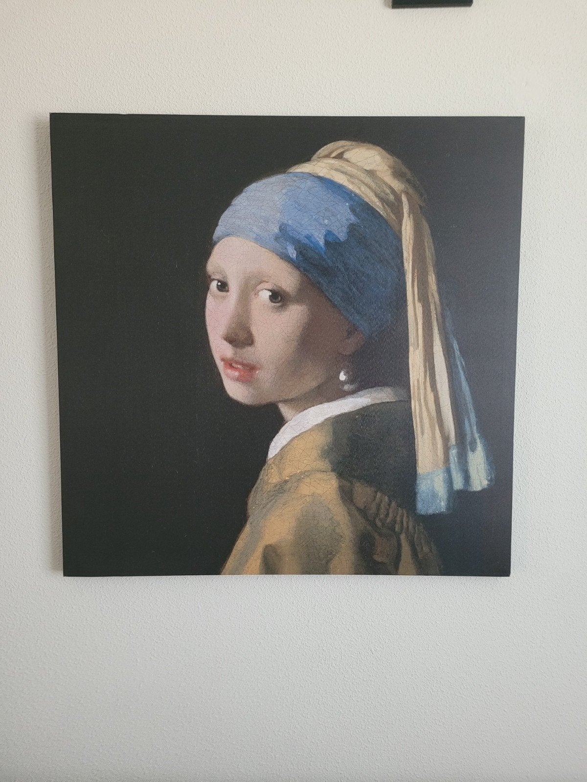 Canvas schilderij, het meisje met de parel, Ophalen, Zo goed als nieuw, 75 tot 100 cm, Schilderij