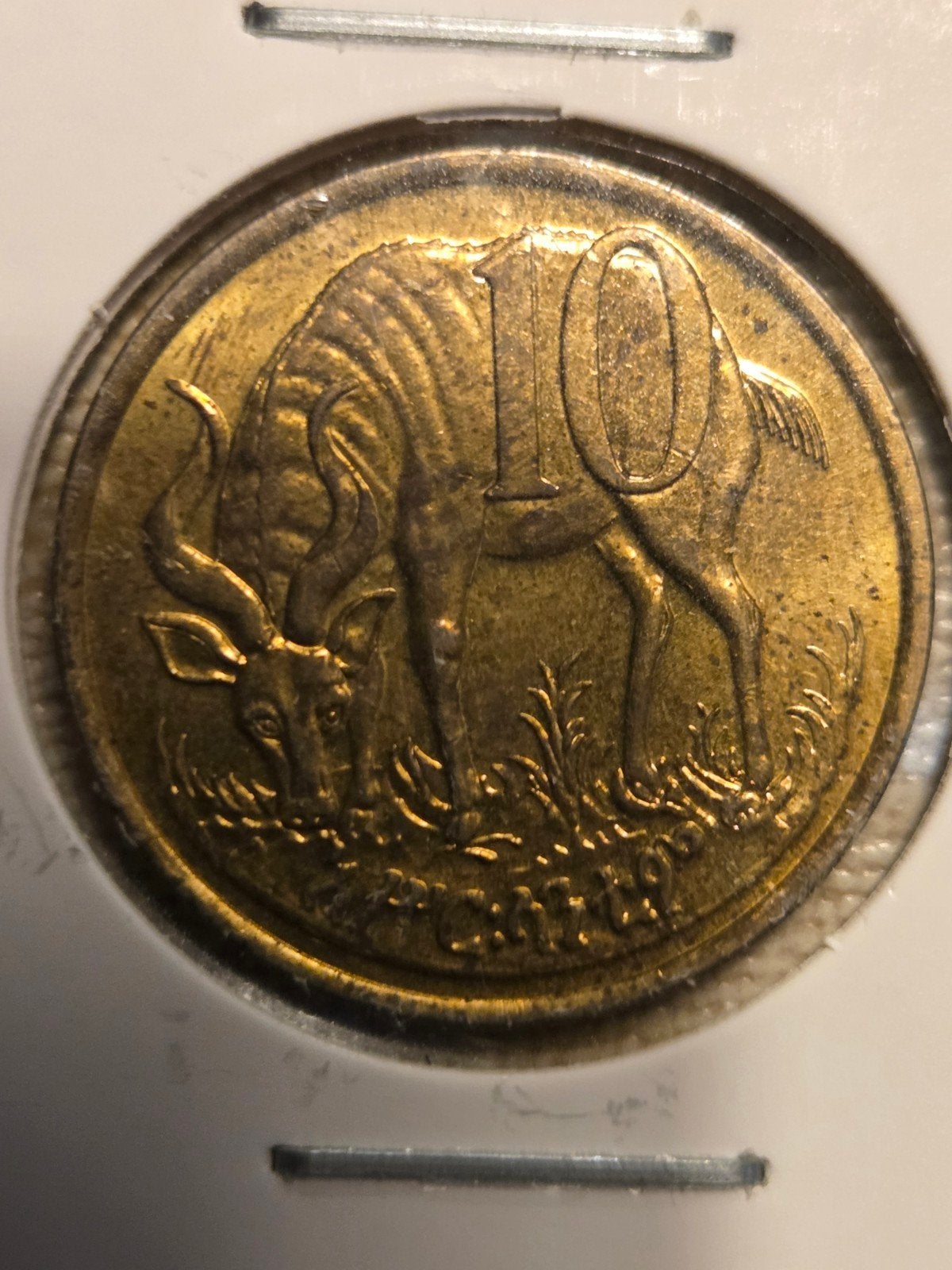 Zuid-Afrikaanse 10 Cent Munt - Kudu, Ophalen of Verzenden, Zuid-Azië, Losse munt