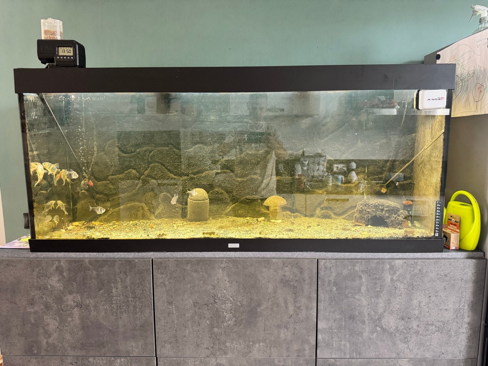 Juwel 450 compleet., Ophalen, Gevuld zoetwateraquarium, Juwel, Gebruikt