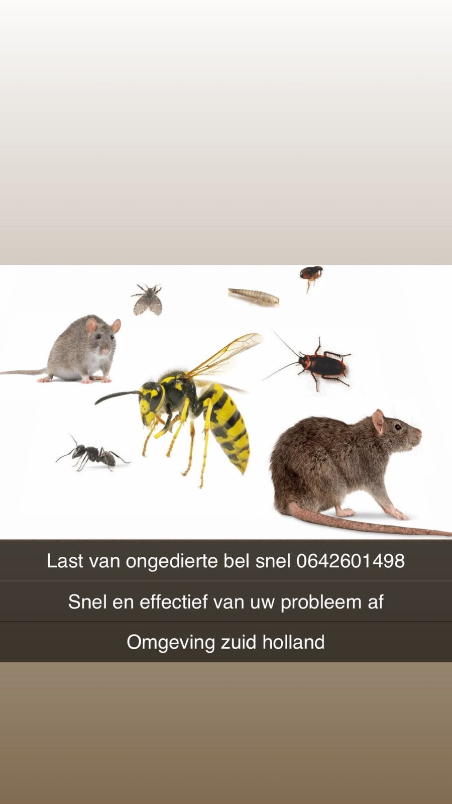 Wespen muizen ratten / en meer, Muizen of Ratten