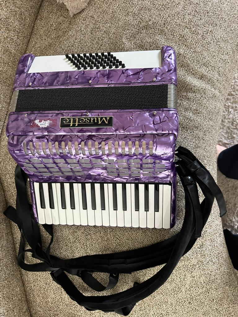 Accordeon, Muziek en Instrumenten, Accordeons, Gebruikt, Met koffer, Toetsaccordeon, 120-bas