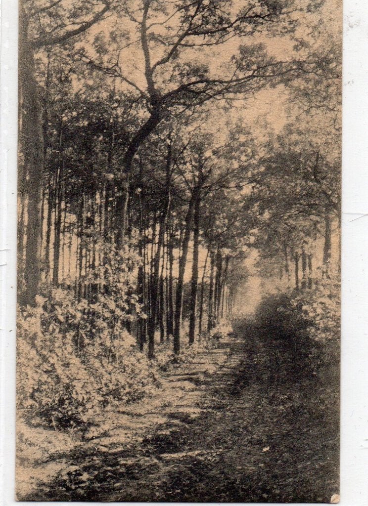 Waalwijk, Verzamelen, Ophalen of Verzenden, Voor 1920, Gelopen, Noord-Brabant