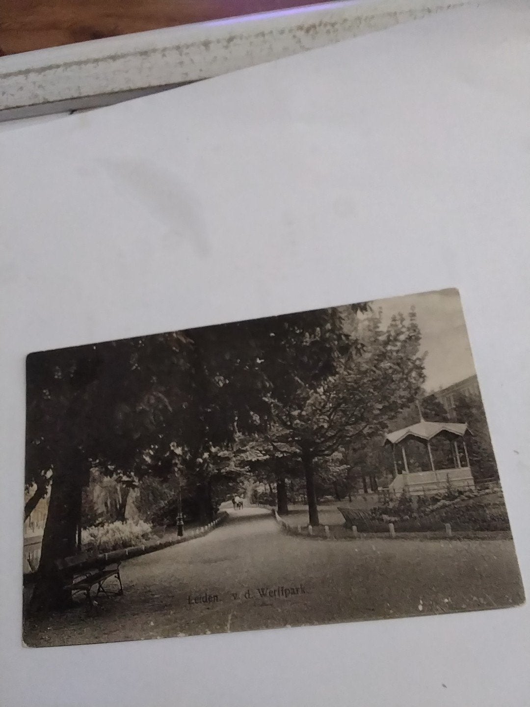Oude Ansichtkaart Leiden v.d. Werffpark - Gelopen 1926, Ophalen of Verzenden, 1920 tot 1940, Zuid-Holland