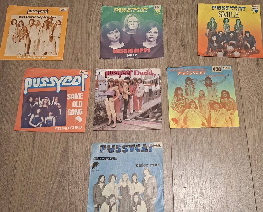 PUSSYCAT, Ophalen of Verzenden, Zo goed als nieuw, Pop
