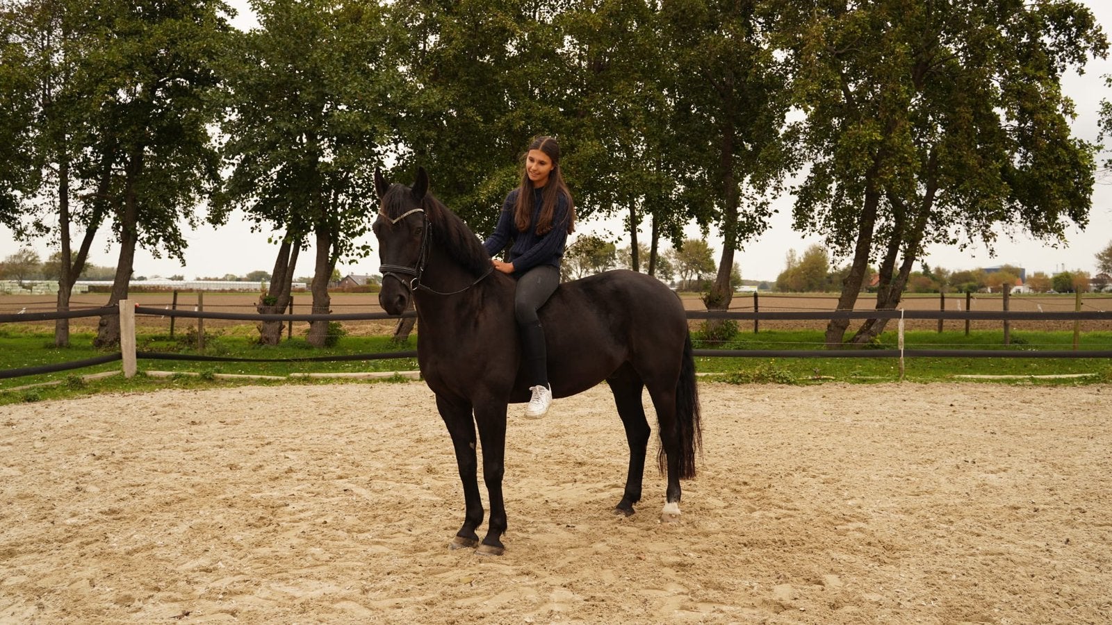 Bijrijd paard gezocht