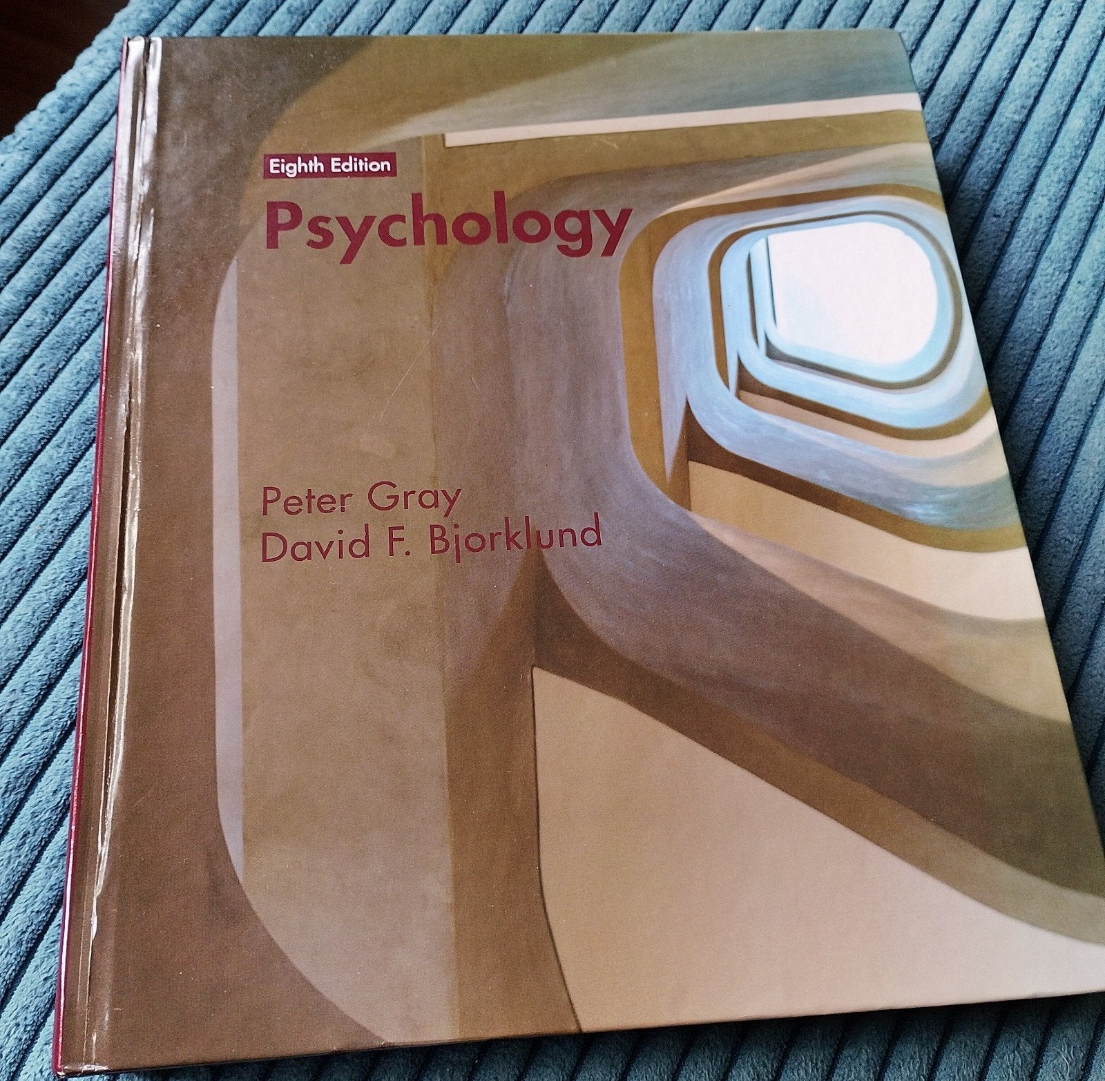 Psychology - Peter Gray&David F. Bjorklund (Eighth Edition), Boeken, Ophalen of Verzenden, Zo goed als nieuw, Overige onderwerpen