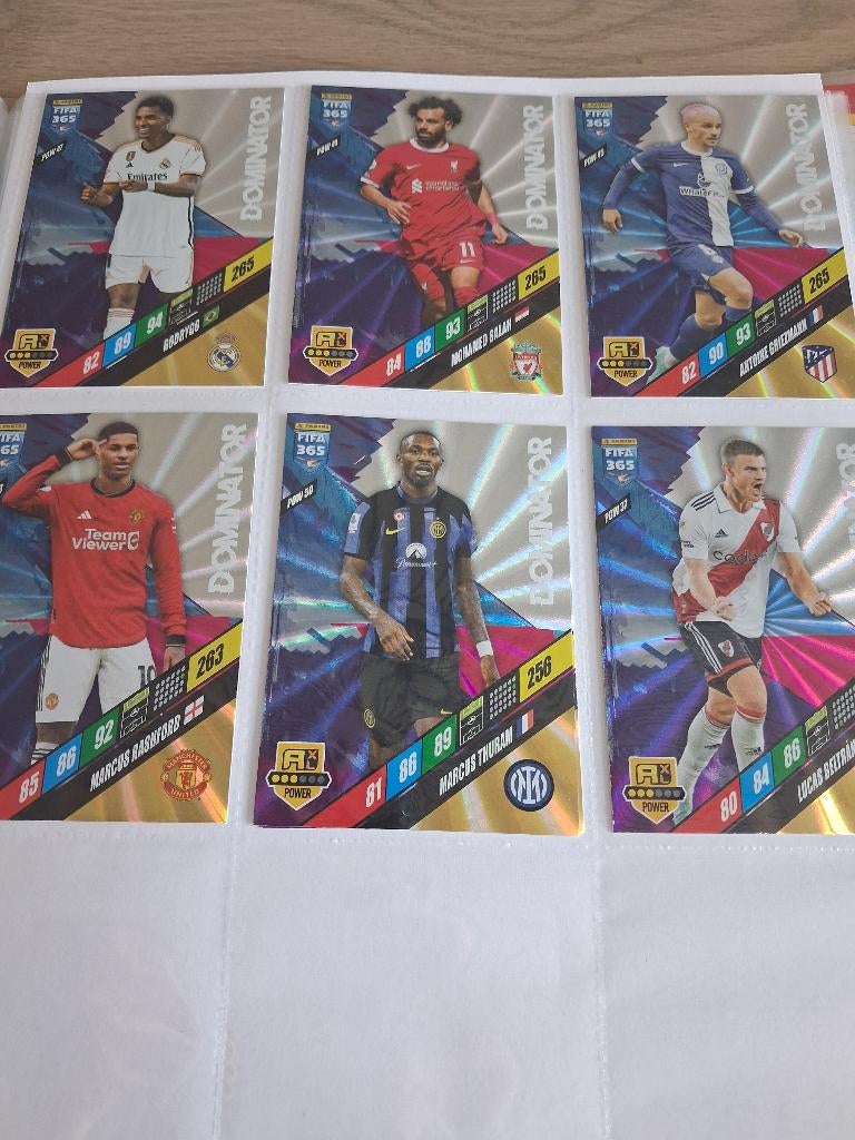 Panini 2024 dominator, Ophalen of Verzenden, Zo goed als nieuw, Plaatje