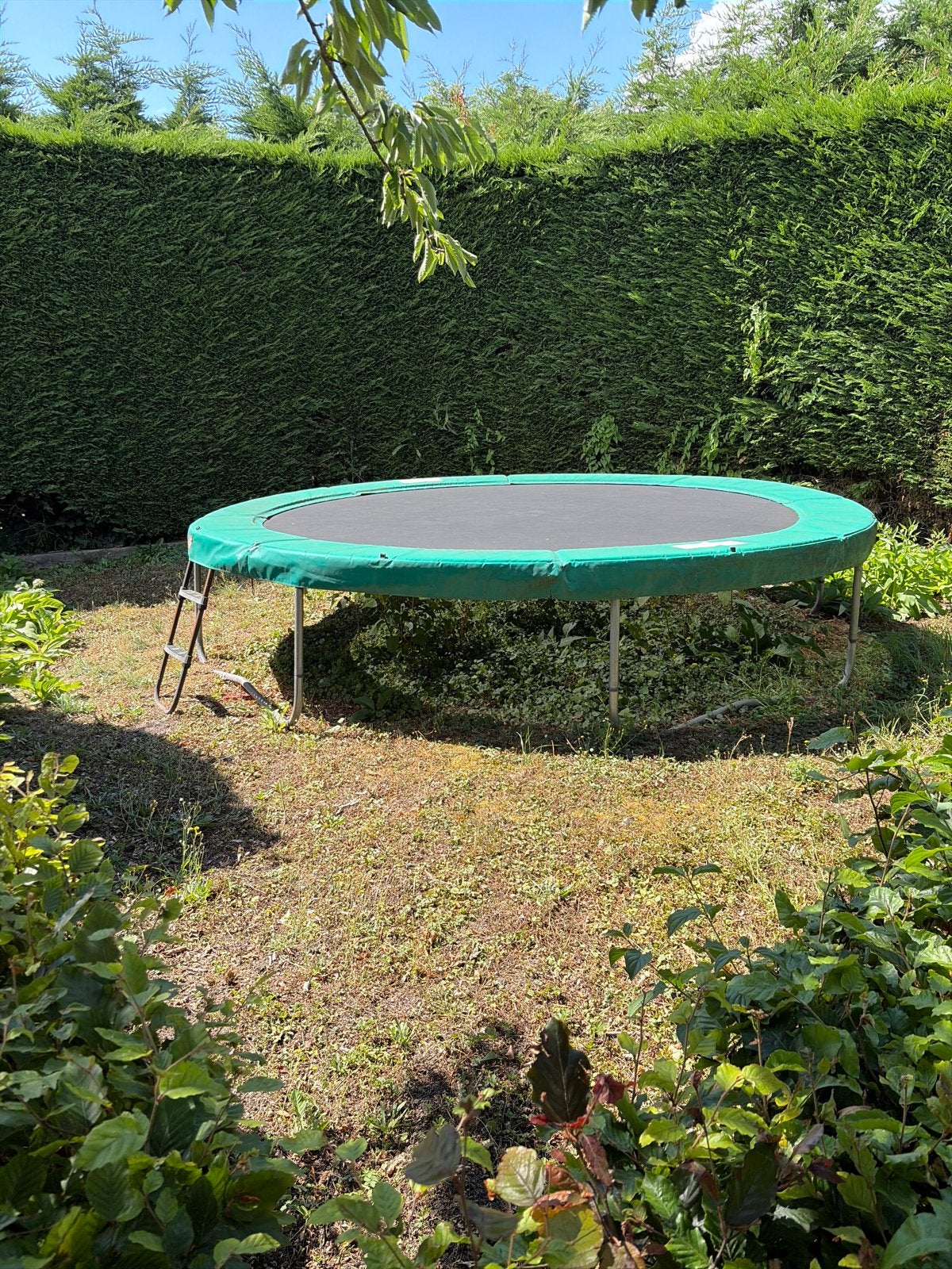 BERG Trampoline 5 meter doorsnee, Ophalen, Gebruikt