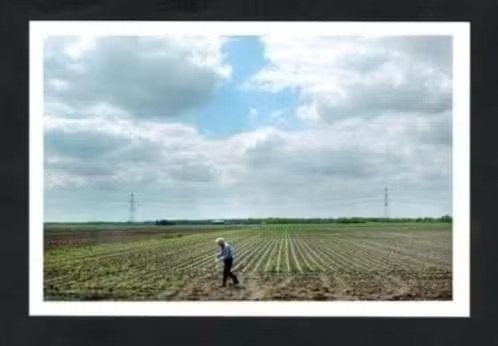 Mussel Groningen Bietenteelt Landbouw., Verzamelen, Ansichtkaarten | Nederland, Ophalen of Verzenden, 1980 tot heden, Ongelopen