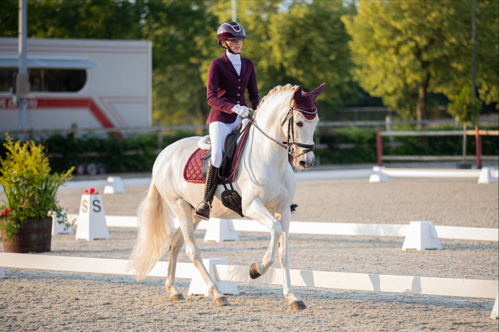Te Lease: super gave PRE merrie, Stalling, 1 paard of pony
