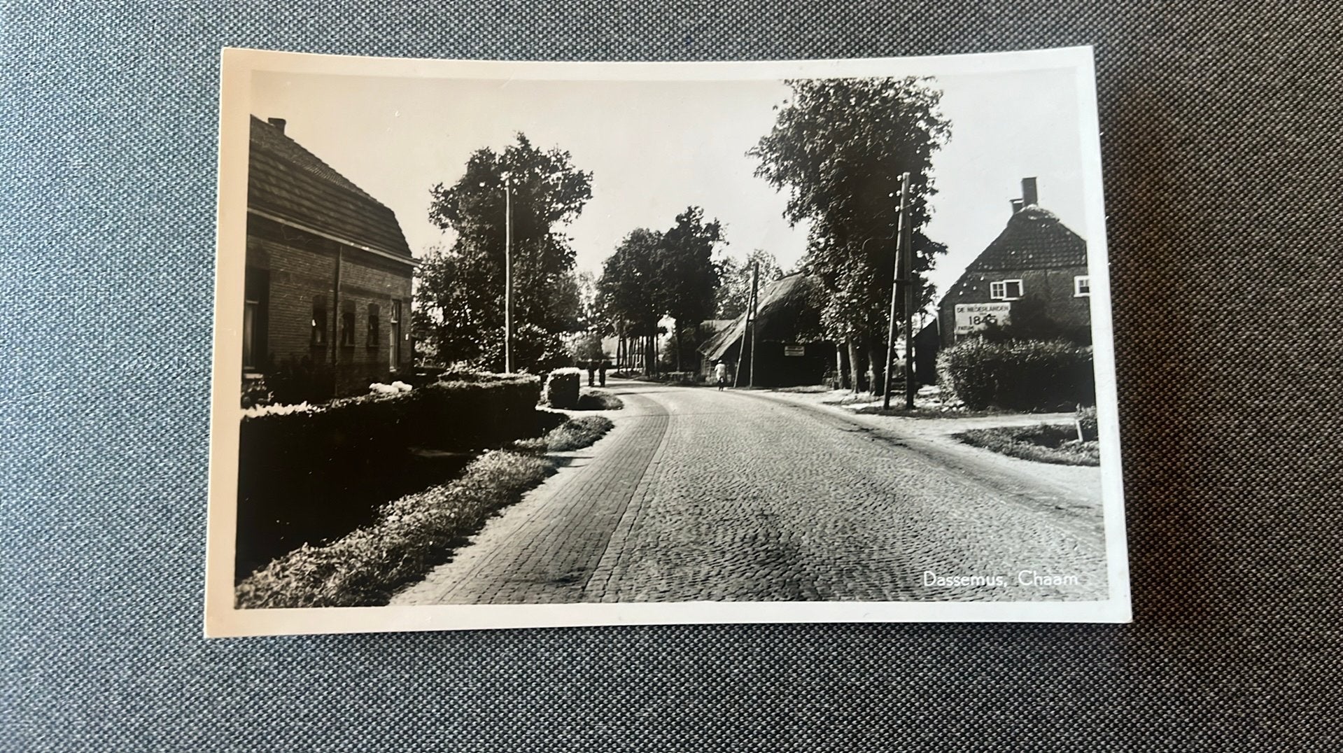 Chaam Dassenmus boerderijen, Ophalen of Verzenden, 1940 tot 1960, Ongelopen, Noord-Brabant