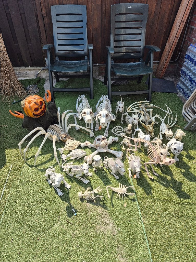 Halloween, Ophalen, Zo goed als nieuw, Feestartikel, Halloween of Griezel