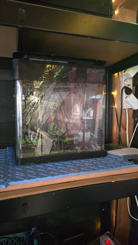 Home 8 superfisk 3 stuks ook losse verkoopt bak is compleet, Ophalen of Verzenden, Zo goed als nieuw, Leeg aquarium