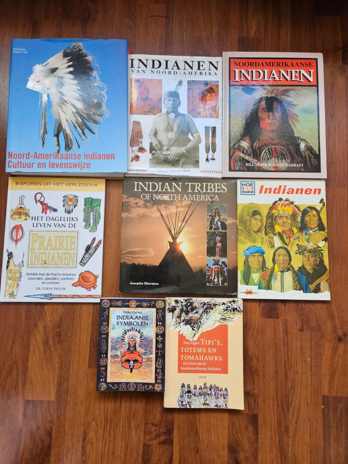 indianen boeken.Native American, Boeken, Ophalen of Verzenden, Zo goed als nieuw